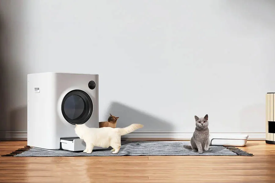 smart litter box for cats